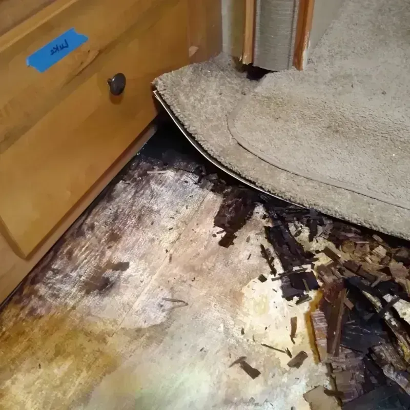 Wood Floor Water Damage in Barron County, WI